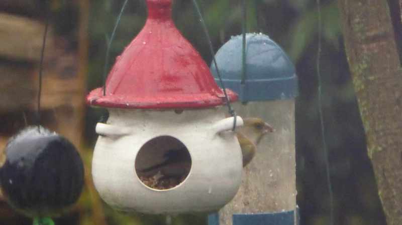 Rundes Vogelhäuschen