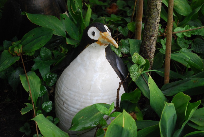 Pinguin · Großformat