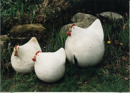 Drei weiße Hühner